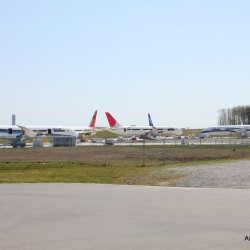 A nice collection of Dreamliners parked next to the Future of Flight at Paine Field.