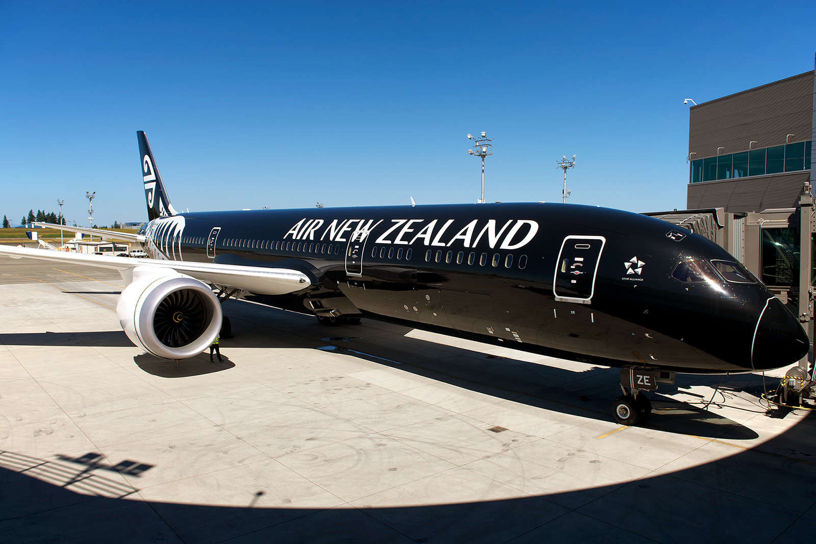 Lv Bag New Zealand Flight  Natural Resource Department
