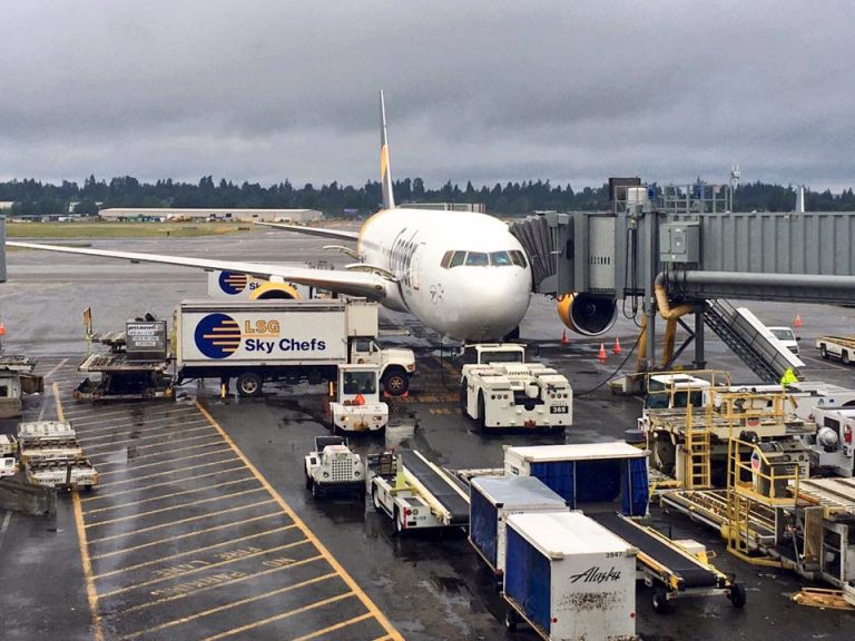 condor delayed baggage